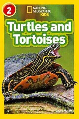 Turtles and Tortoises Readers 2