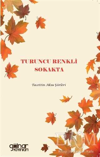 Turuncu Renkli Sokakta - Gülnar Yayınları