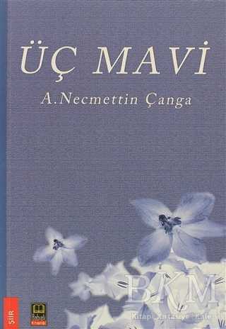 Üç Mavi - Babıali Kitaplığı