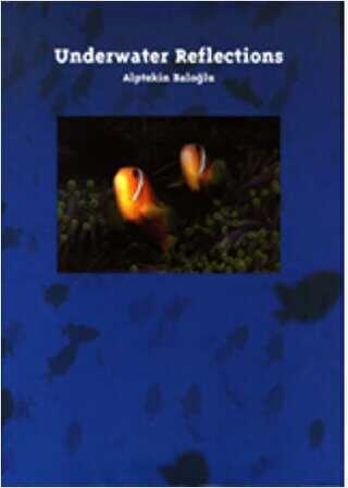 Underwater Reflections - A4 Ofset