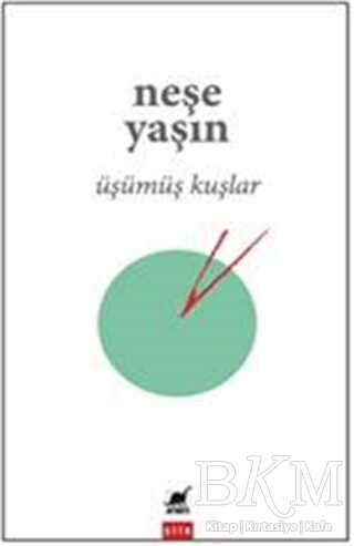Üşümüş Kuşlar - Ayrıntı Yayınları