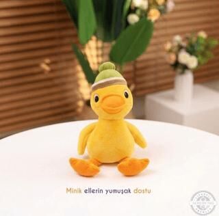 Uyku Arkadaşı Yeşil Başlı Ördek - 1