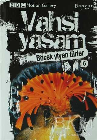 Vahşi Yaşam 2 - Böcek Yiyen Türler - Boyut Yayın Grubu
