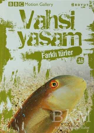 Vahşi Yaşam 2 - Farklı Türler - Boyut Yayın Grubu