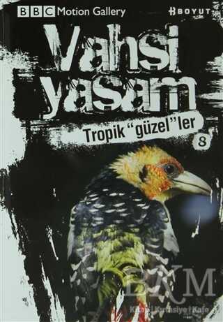 Vahşi Yaşam 2 - Tropik Güzeller - Boyut Yayın Grubu