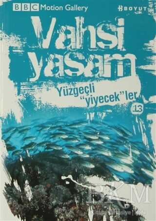 Vahşi Yaşam 2 - Yüzgeçli Yiyecekler - Boyut Yayın Grubu