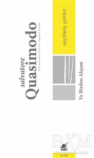 Ve Birden Akşam - Ayrıntı Yayınları