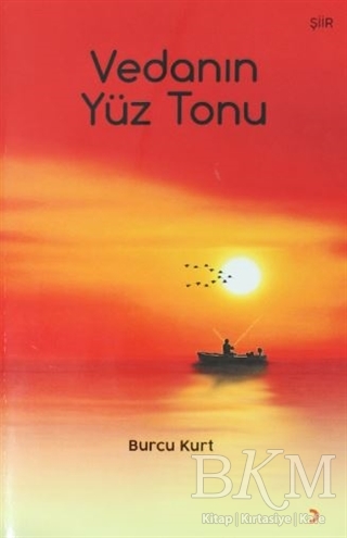 Vedanın Yüz Tonu - Cinius Yayınları