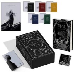 Veyl Kötülerin Şehri - Artemis Yayınları