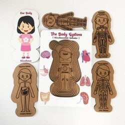 Vücudumuz Sistemleri Kız Eğitici Öğretici Geliştirici Boyanabilir Ahşap Sağlıklı Oyuncak - 2