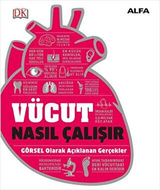 Vücut Nasıl Çalışır kapağı