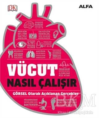 Vücut Nasıl Çalışır - Alfa Yayınları