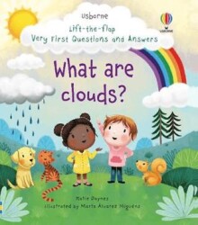What are Clouds? Lift the Flap First Questions and Answers - Usborne