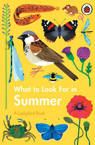 What to Look For in Summer