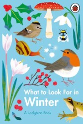 What to Look For in Winter - Ladybird Book