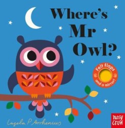 Where`s Mr Owl? - Nosy Crow