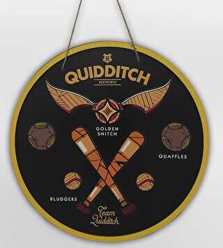 Wizarding World - Harry Potter - 3D Wall Sign - Team Quidditch