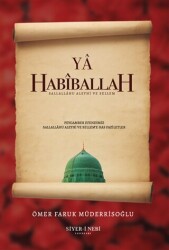 Ya Habiballah - Siyer-i Nebi Yayınları