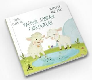 Yağmur Sonrası Farklılıklar - 1