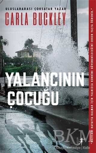 Yalancının Çocuğu - Artemis Yayınları