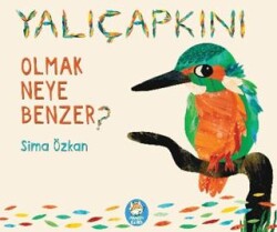 Yalıçapkını Olmak Neye Benzer? - Meraklı Tilki