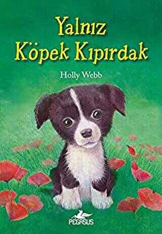 Yalnız Köpek Kıpırdak - Pegasus Çocuk Yayınları