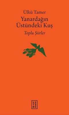 Yanardağın Üstündeki Kuş - 1