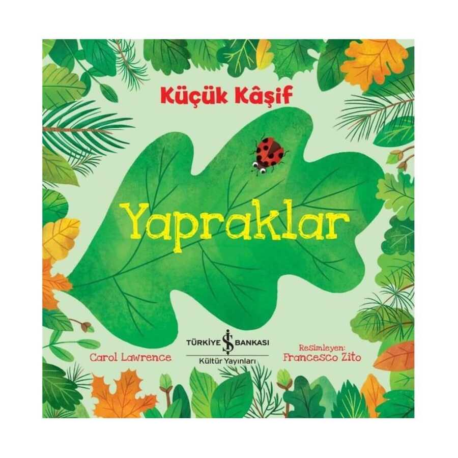Yapraklar - Küçük Kaşif - 2