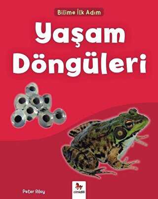 Yaşam Döngüleri - Bilime İlk Adım - Almidilli