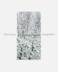 Yaşamdan Alıntılar - Masa Yayınevi