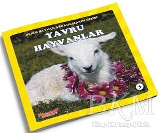 Yavru Hayvanlar - Benim Hayvan Arkadaşlarım Dizisi 3 - Yumurcak Yayınları