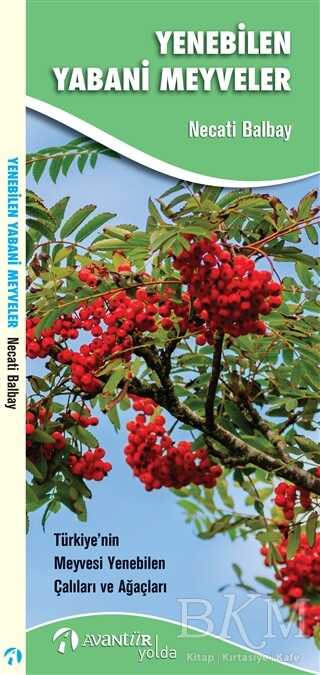 Yenebilen Yabani Meyveler - Avantür Kitap