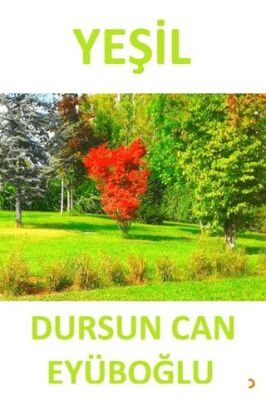 Yeşil - 1