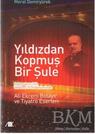 Yıldızdan Kopmuş Bir Şule - Akademik Kitaplar