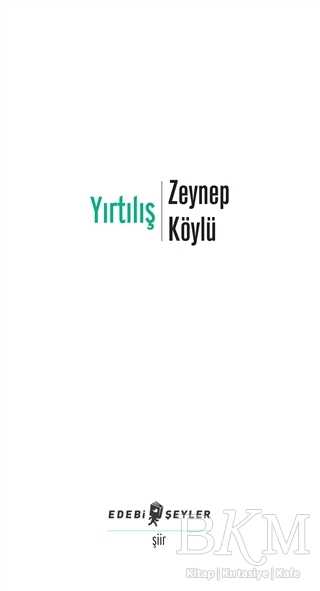 Yırtılış - Edebi Şeyler