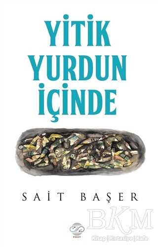Yitik Yurdun İçinde - Post Yayınevi
