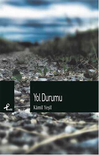 Yol Durumu - Profil Kitap