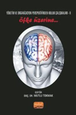 Yönetim ve Organizasyon Perspektifinden Kolluk Çalışmaları II - Öfke Üzerine.. - 1