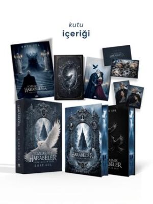 Yozlaşmış Harabeler 2: Yansımalar Çağı - Tek Kitaplık Yan Boyamalı Kutu - 1