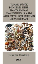 Yukarı Büyük Menderes Nehri Havzasındaki Makrofunguslarda Ağır Metal İçeriklerinin Araştırılması - Gece Kitaplığı