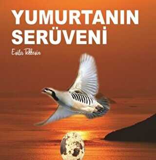 Yumurtanın Serüveni - Kitap72 Yayınları