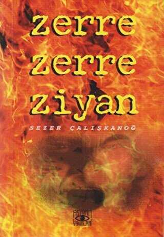 Zerre Zerre Ziyan - Aşiyan Yayınları